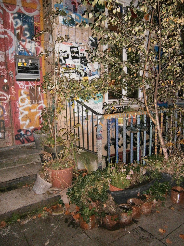 Anica - Urban Garden